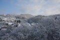 Winter 14.02.2009 004